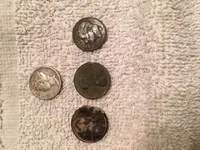 Day 2 finds.webp