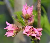 DSC_0014.webp