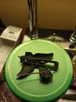 bluebird back.webp