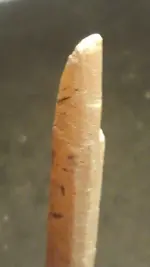 WorkedShaft18TipFingerNail.webp