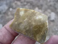P1120911.webp