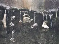 6 Miscellaneous.webp