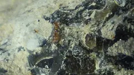 Top6-IronNodule_VeryNice3Close.webp