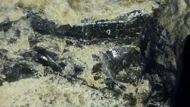 GlasslikeCloseup4.webp
