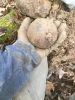Cannon Ball.webp Cannon Ball.webp