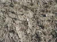 P1120878.webp