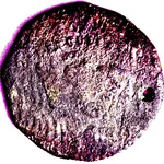 hercules token negative.webp