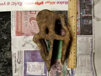 Metal Detecting 2 Iron thing.webp