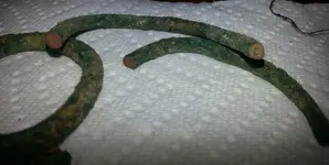 Bronze Ring Cross Section.webp Bronze Ring Cross Section.webp