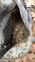 bag o shot.webp bag o shot.webp