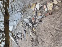 Arrowhead Insitu Pic.webp
