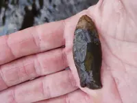 Arrowhead in Hand 1.webp