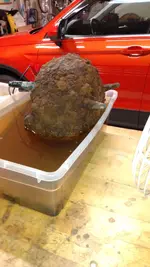 7360363176477302726.webp