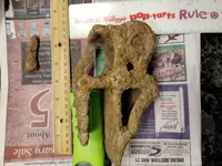Metal Detecting 5.webp