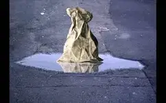 Paper Bag.webp