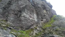 Trail Promenade Carvings.webp