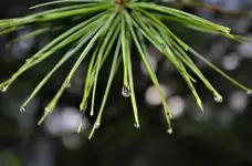 DSC_00100.webp
