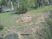 101_7689.webp