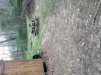 20200402_183747.webp