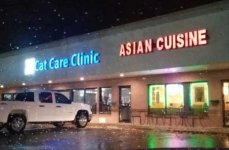 cat-care-clinic-next-to-asian-cuisine-restaurant.jpg