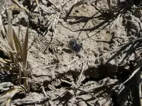 P1120931.webp
