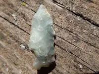 P4220501.webp