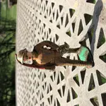 02483DCB-CE9F-4FFB-A660-924BD6B24649.webp