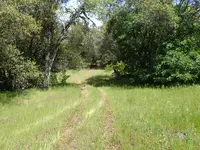 P4220489.webp