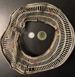 copper-thing.webp copper-thing.webp