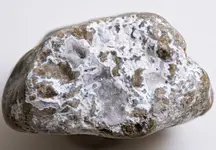 chert agate nodule1a.webp