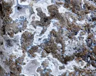 chert agate nodule1c.webp