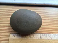 acb Rock top circ 6 inches.webp