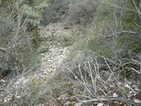 P1170785.webp