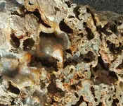Coldwater Agate.webp