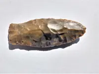 Arrohead Side 2.webp