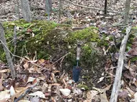 Earthworks6.webp