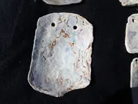 P4010437.webp