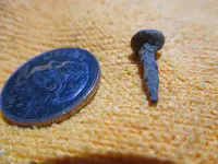 Todays Finds - Partial_04_02_2020_0001.webp Todays Finds - Partial_04_02_2020_0001.webp