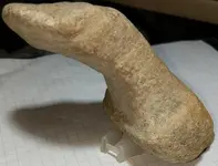 artifact8.webp