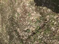 IMG-0739.webp IMG-0739.webp