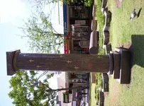 000_2645.webp