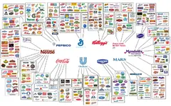 foodcontrol.webp