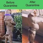 beforeafter.webp