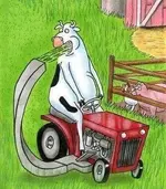 fastfoodcows.webp