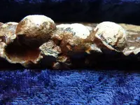 P3240091.webp P3240091.webp