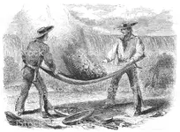 winnowing.webp