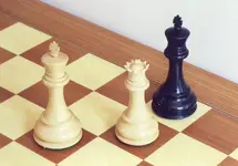 Checkmate.webp