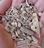 beads.webp