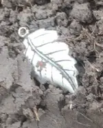 Silver Leaf 1.webp