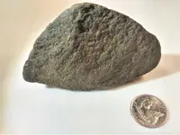 Hammerstone Pecking Side.webp